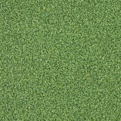 Tekden Premium Putting Turf