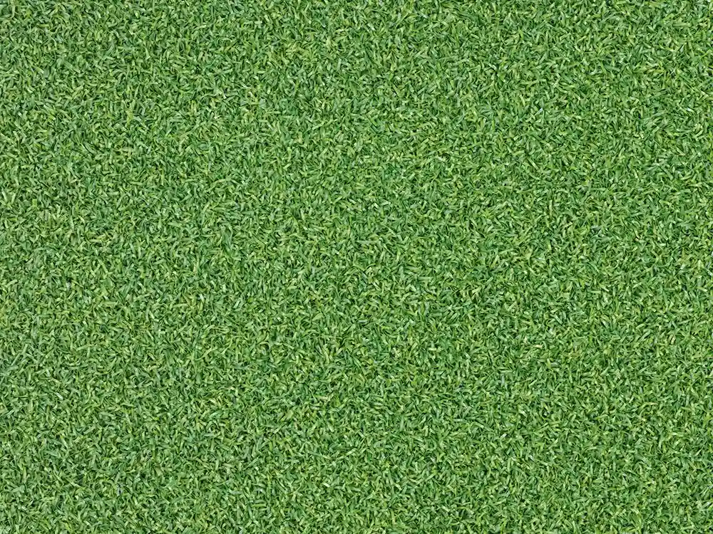 Standard Putting Turf - 16mm Polyethylene Golf Simulator Grass - Image 3