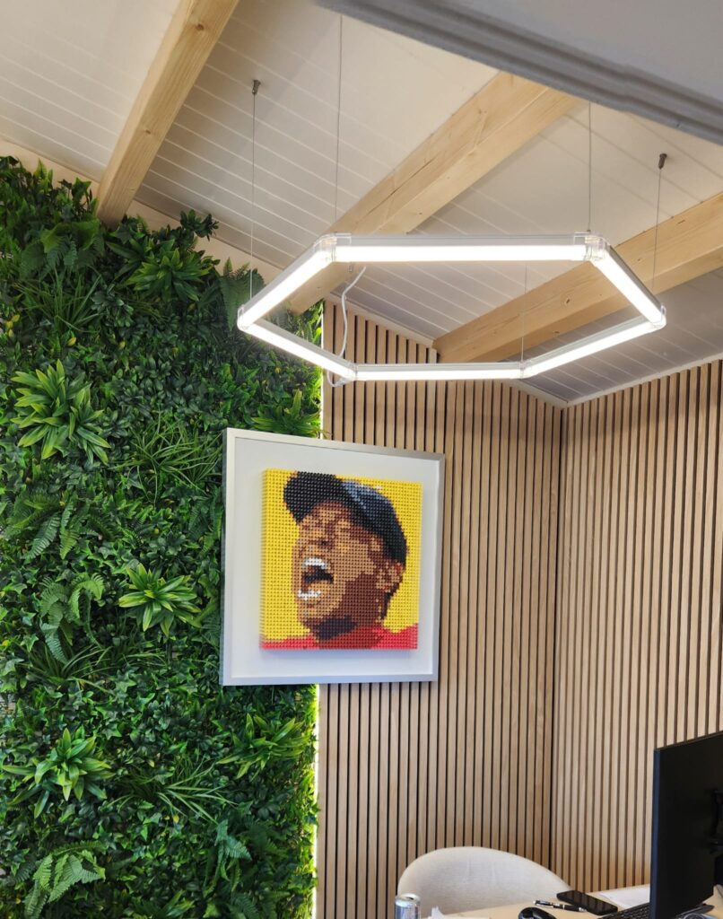 Woods - Image 9